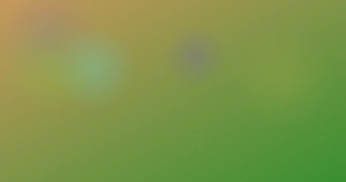 101推荐：新手版本逐项对比